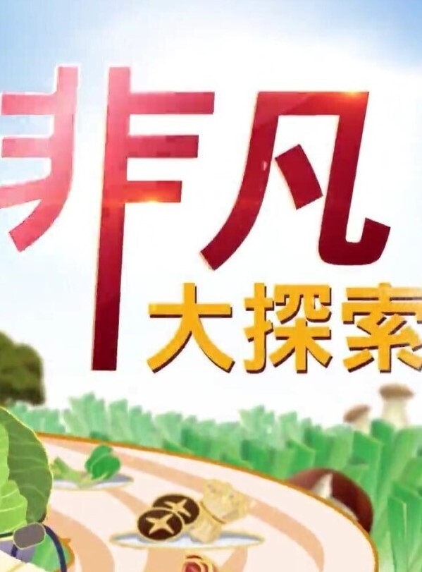 MD-0190-5 我是苏畅 我回来了 - 海滩露出玩弄雪白巨乳 - 91吃瓜海报